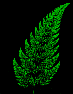 A fractal equation that generates what looks like a fern. If you zoom in on a tiny part of one frond it resolves itself as exactly the same pattern.