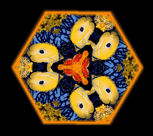 Seen from a kaleidoscopic perspective, the yellow butterfly fish merges with the coral polyps that are its food and build its habitat. © http://www.thread-of-awareness-in-chaos.com/order.html