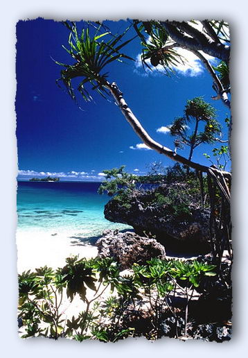 The beach at Tapana Island in the Vava'u Island Group of the Kingdom of Tonga. © http://www.thread-of-awareness-in-chaos.com/order.html